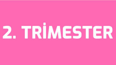 2.Trimester