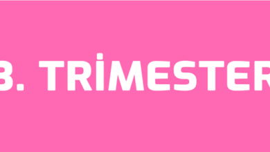 3.Trimester