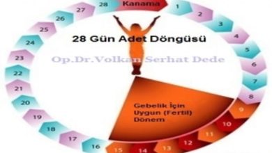 Adet Döngüsü