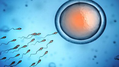 Erkek İnfertilitesi ve Tanı ile Tedavide Yeni Bir Seçenek