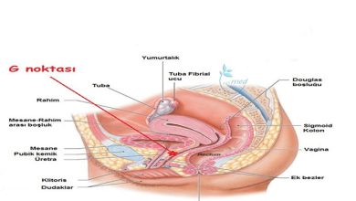 G NOKTASI BÜYÜTME (ORGAZM AŞISI)