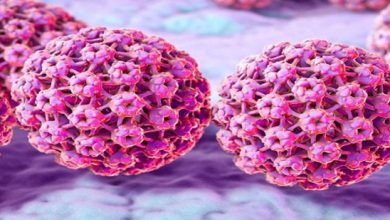 HPV, Genital Siğiller ve Rahim Ağzı Kanseri