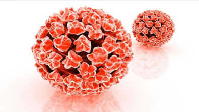 HPV Nedir?