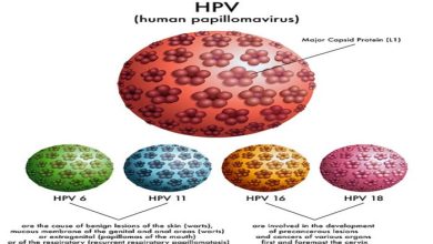 HPV Nedir?