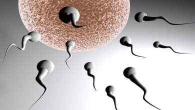 İnfertilite (Kısırlık)