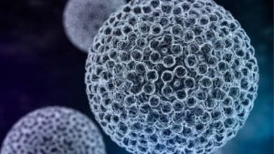 Rahim ağzı HPV Enfeksiyonu: Gerçekten korkmalı mısınız?